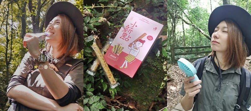 桃園小百岳｜東眼山森林遊樂區/東眼山步道