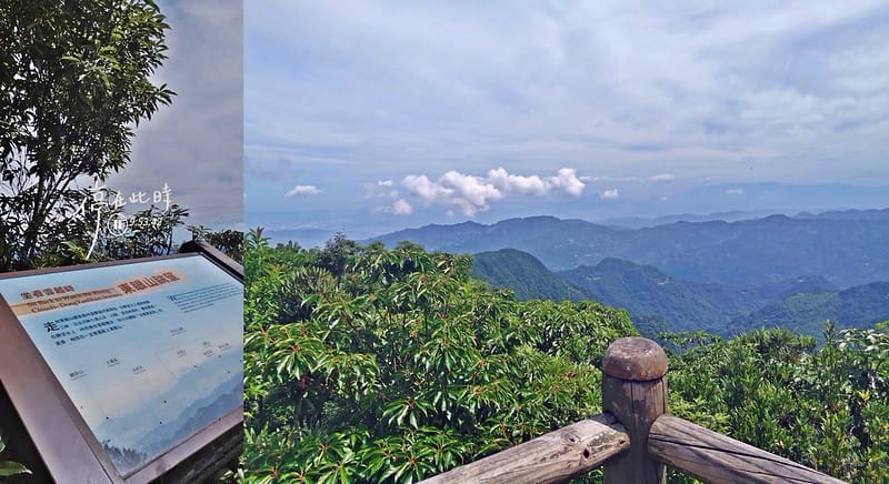 桃園小百岳｜東眼山森林遊樂區/東眼山步道