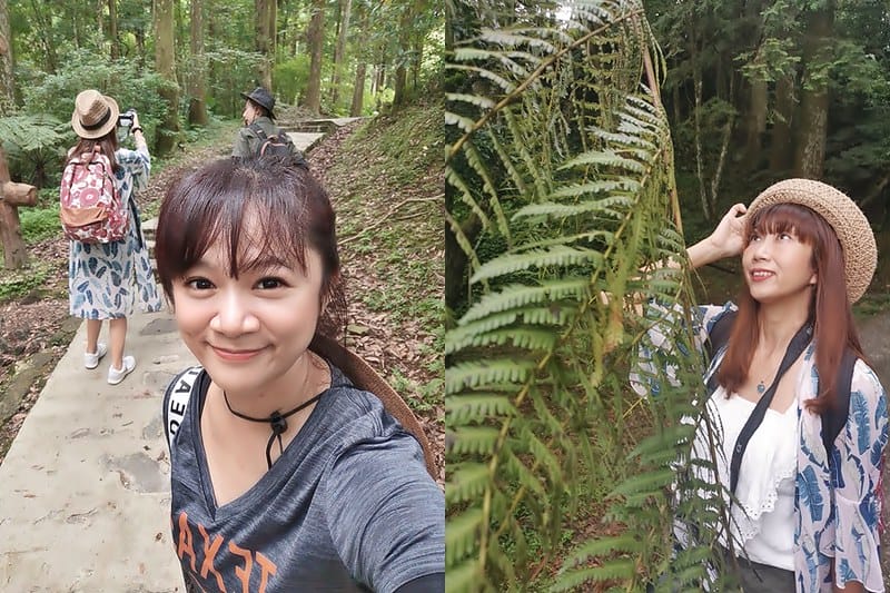 桃園小百岳｜東眼山森林遊樂區/東眼山步道