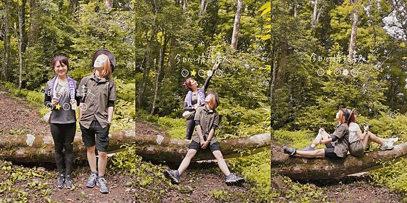 桃園小百岳｜東眼山森林遊樂區/東眼山步道