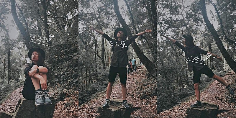 桃園小百岳｜東眼山森林遊樂區/東眼山步道