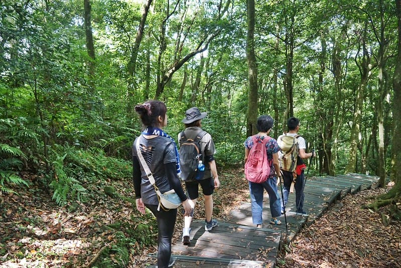桃園小百岳｜東眼山森林遊樂區/東眼山步道