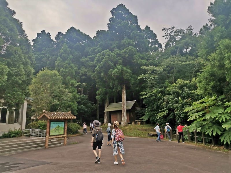桃園小百岳｜東眼山森林遊樂區/東眼山步道