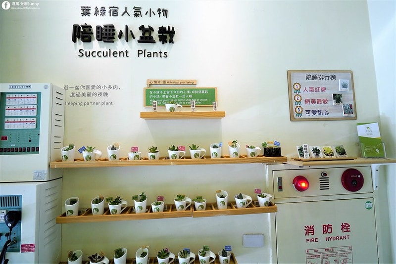 台中逢甲葉綠宿旅館 Fengjia By酒窩小姊Sunny