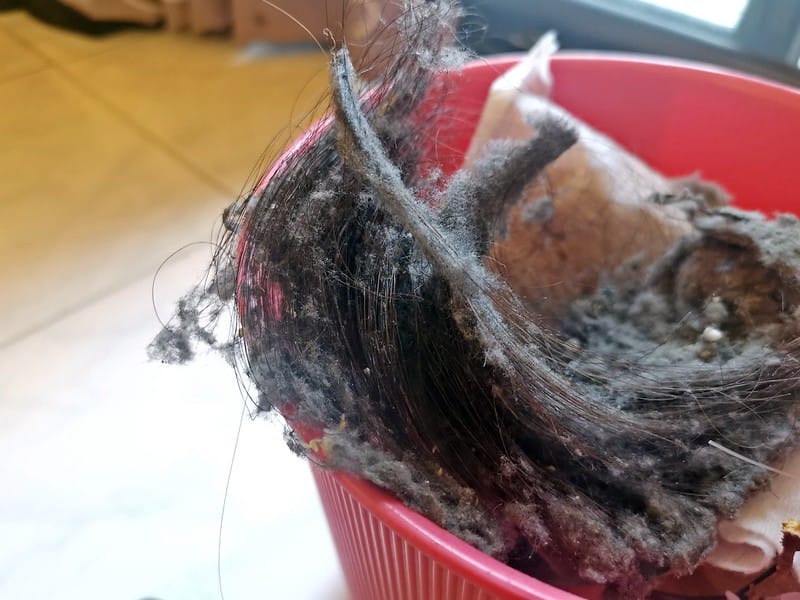 MATURE美萃 數位馬達無線吸塵器 CY-2906VB1(豪華全配版)