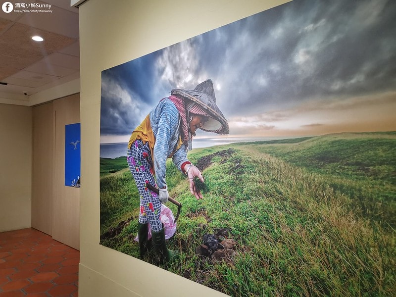 台南景點深緣及水 善糖文化園區♥深緣烘焙,及水火鍋,穎可達咖啡館,光文會館♥台劇-我的婆婆怎麼那麼可愛拍攝場景
