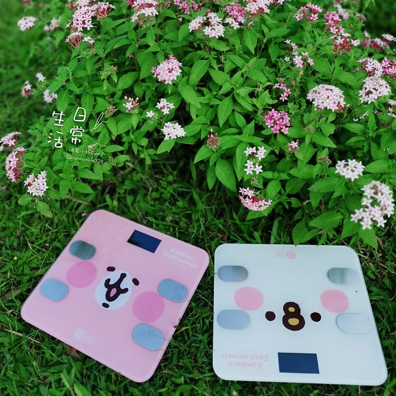 iNO 卡娜赫拉的小動物 健康管理藍牙智慧體重計