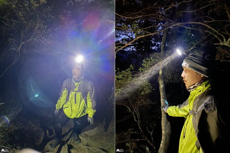 2020128_201208_29-tile