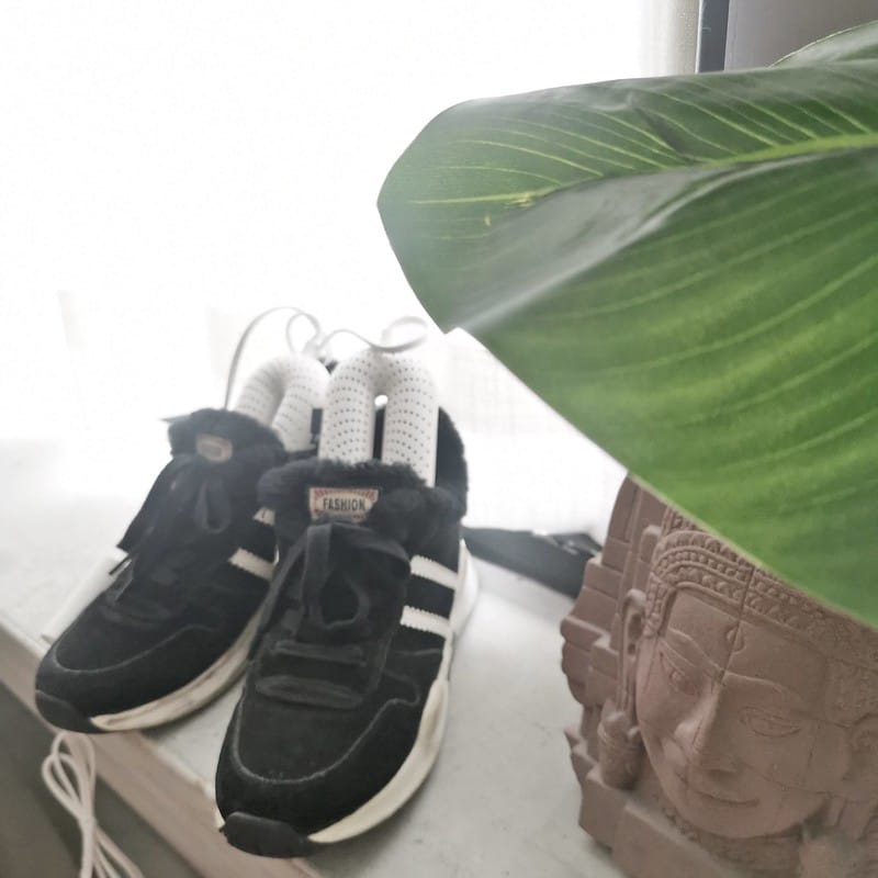 酒窩小姊開箱日常|igrass攜帶式烘鞋機