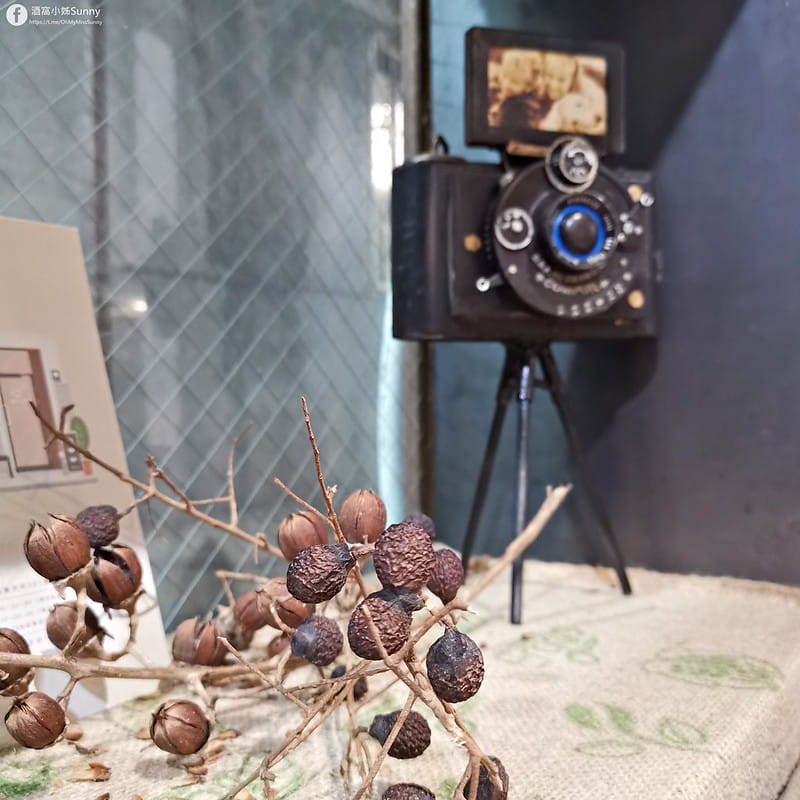 初·仨食 咖哩_202101