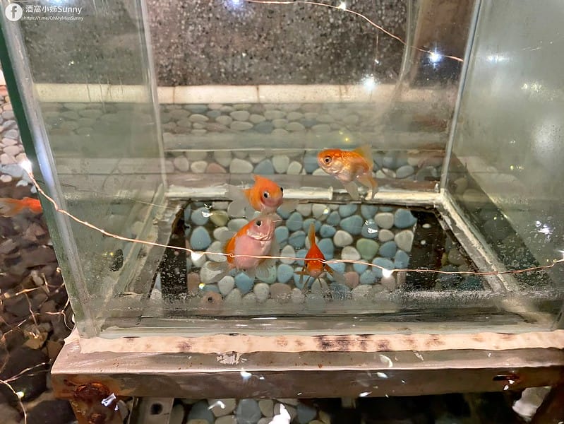 初·仨食 咖哩_202101