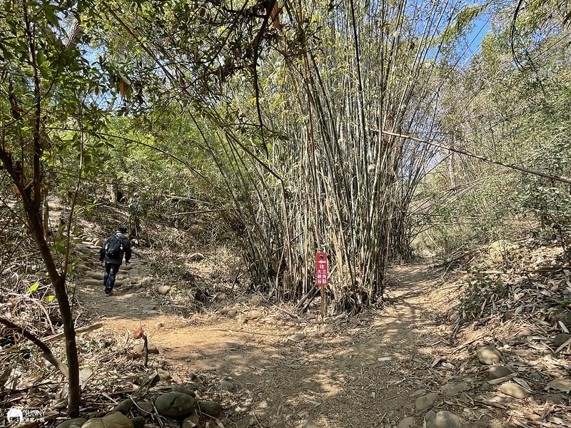 苗栗小百岳|台版大峽谷-火炎山(台灣百大必訪步道/親民步道/老少咸宜/火炎山攻略、交通方式、登山口、注意事項) - 第5張圖 IMG_1841