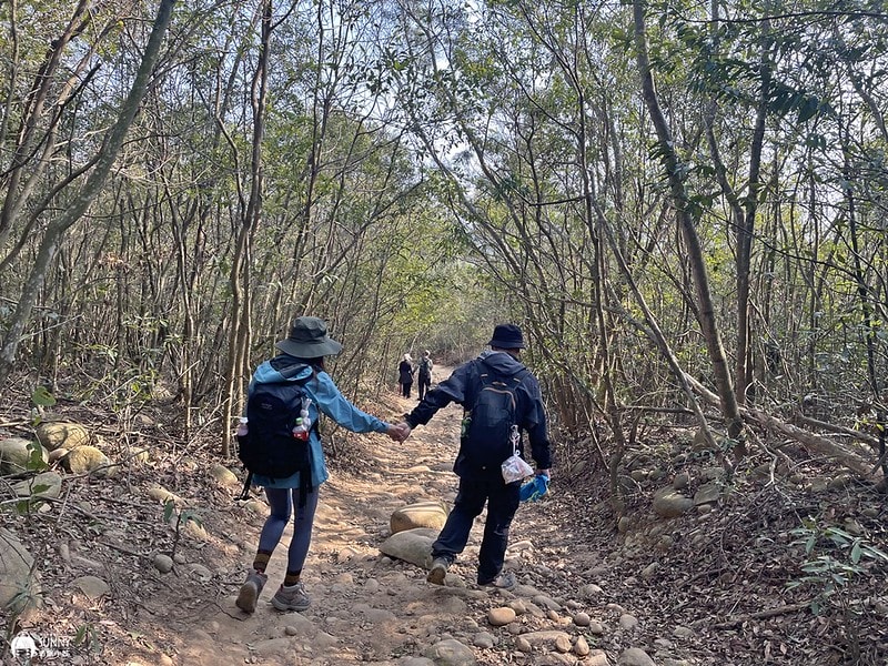 苗栗小百岳|台版大峽谷-火炎山(台灣百大必訪步道/親民步道/老少咸宜/火炎山攻略、交通方式、登山口、注意事項) - 第40張圖 IMG_2016