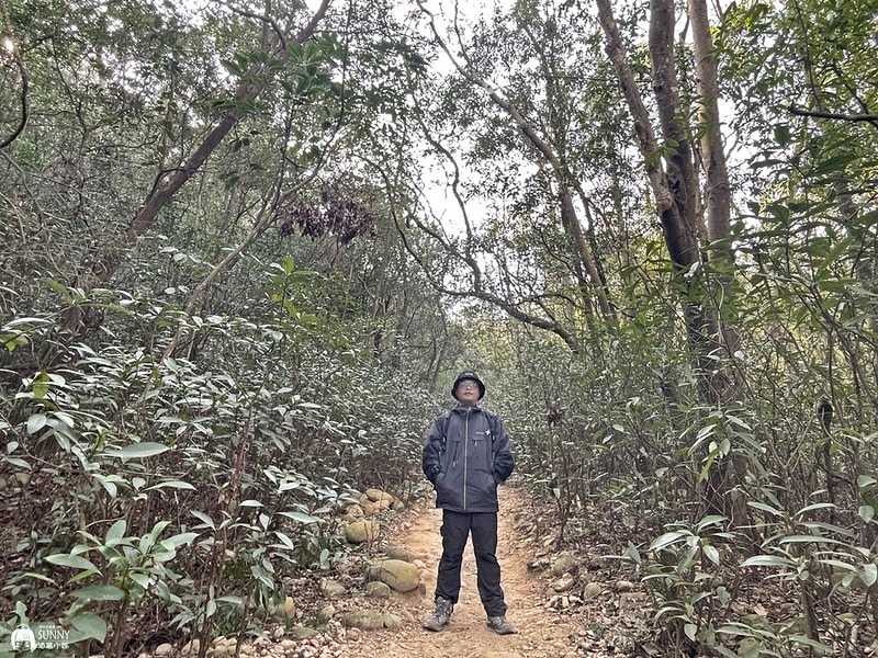 苗栗小百岳|台版大峽谷-火炎山(台灣百大必訪步道/親民步道/老少咸宜/火炎山攻略、交通方式、登山口、注意事項) - 第36張圖 IMG_2003