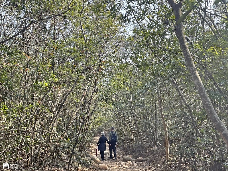 苗栗小百岳|台版大峽谷-火炎山(台灣百大必訪步道/親民步道/老少咸宜/火炎山攻略、交通方式、登山口、注意事項) - 第39張圖 IMG_2014