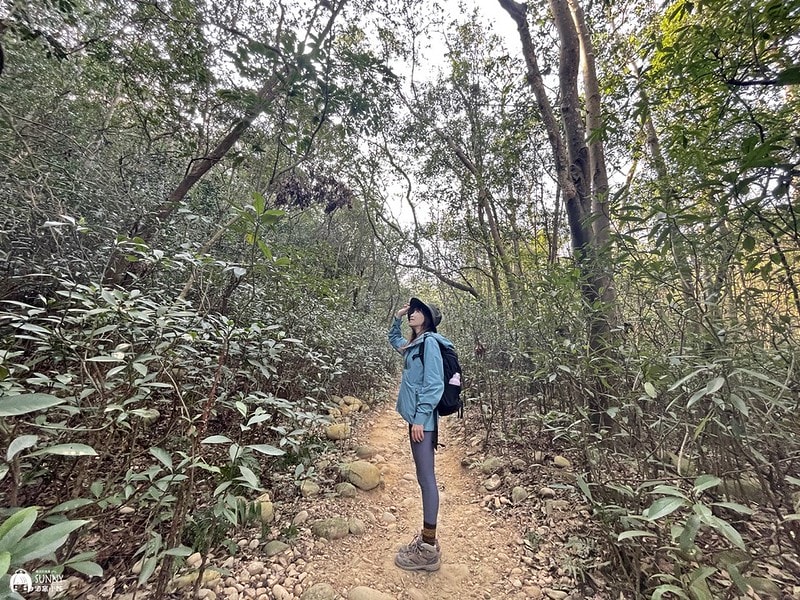 苗栗小百岳|台版大峽谷-火炎山(台灣百大必訪步道/親民步道/老少咸宜/火炎山攻略、交通方式、登山口、注意事項) - 第37張圖 IMG_2001