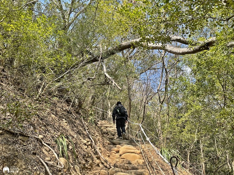 苗栗小百岳|台版大峽谷-火炎山(台灣百大必訪步道/親民步道/老少咸宜/火炎山攻略、交通方式、登山口、注意事項) - 第6張圖 IMG_1844