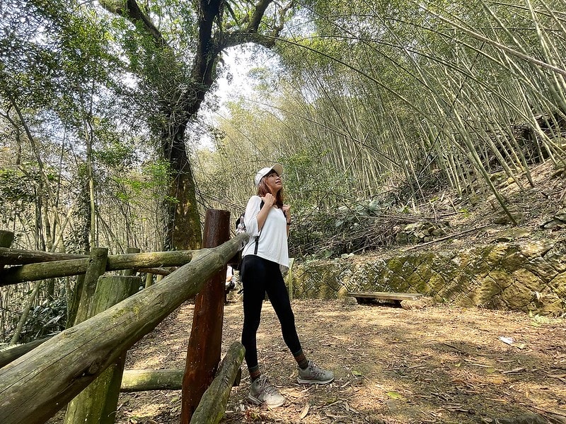 壓力褲試穿報告【Fitty】運動護膝壓力褲(女款・經典全黑)