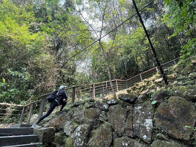 壓力褲試穿報告【Fitty】運動護膝壓力褲(女款・經典全黑)