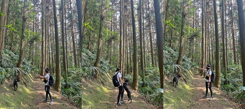 壓力褲試穿報告|【Fitty】運動護膝壓力褲（女款・經典全黑）