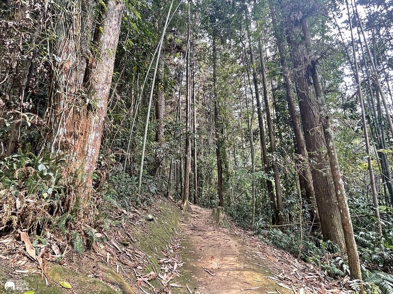 2021-03-31 14.44.17(1617596497.724663)