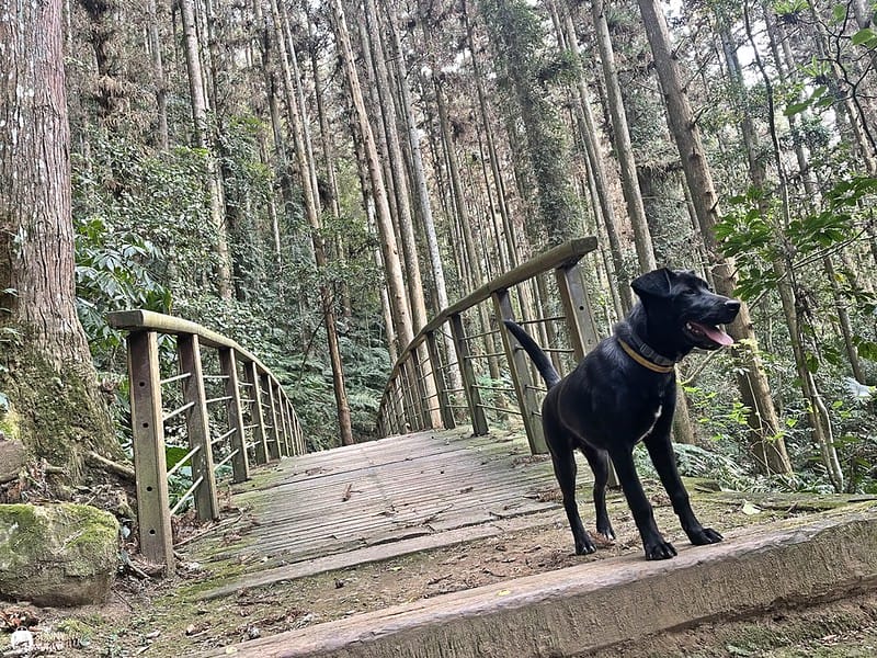 2021-03-31 14.47.29(1617596502.569143)