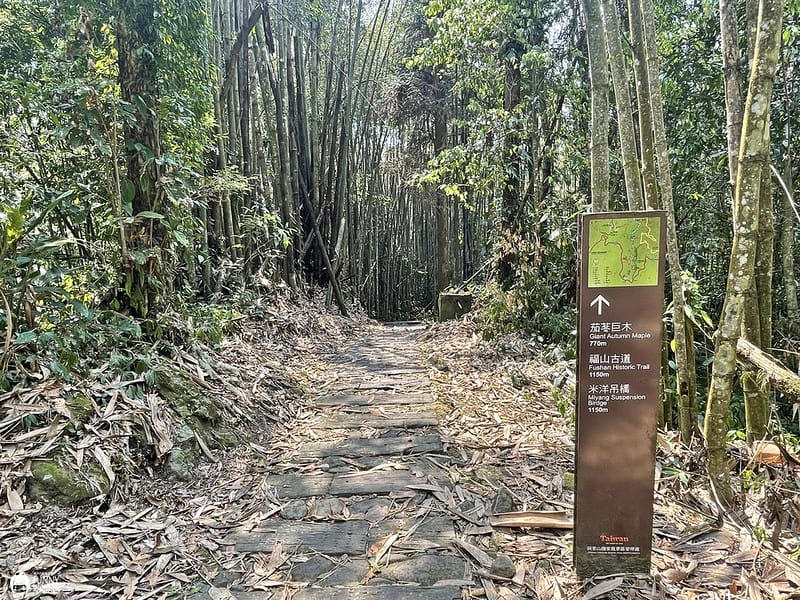 2021-03-31 12.02.43(1617596402.709260)