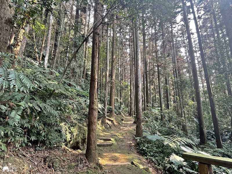 2021-03-31 14.48.04(1617596503.940970)