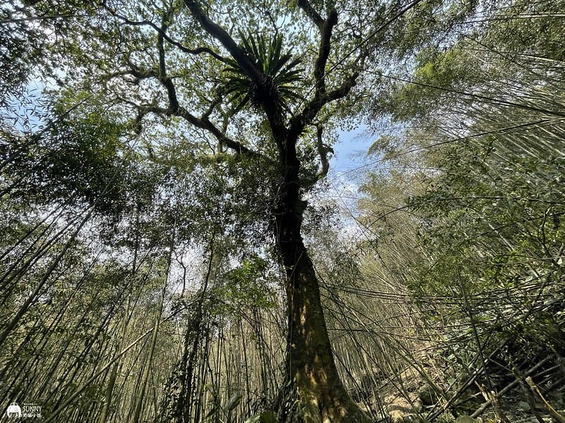 2021-03-31 12.58.58(1617596461.863655)