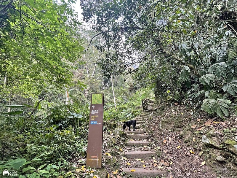 2021-03-31 15.02.02(1617596521.205414)