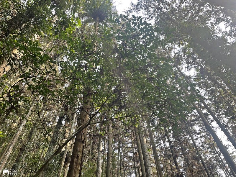 2021-03-31 14.48.32(1617596505.744245)