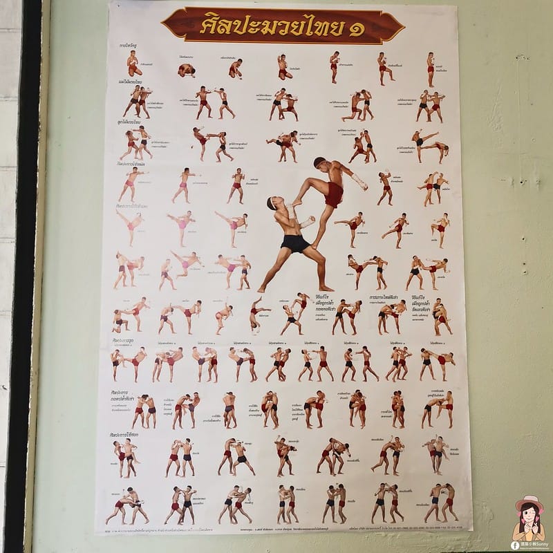 台南炸機推薦｜拳拳到肉泰國炸雞