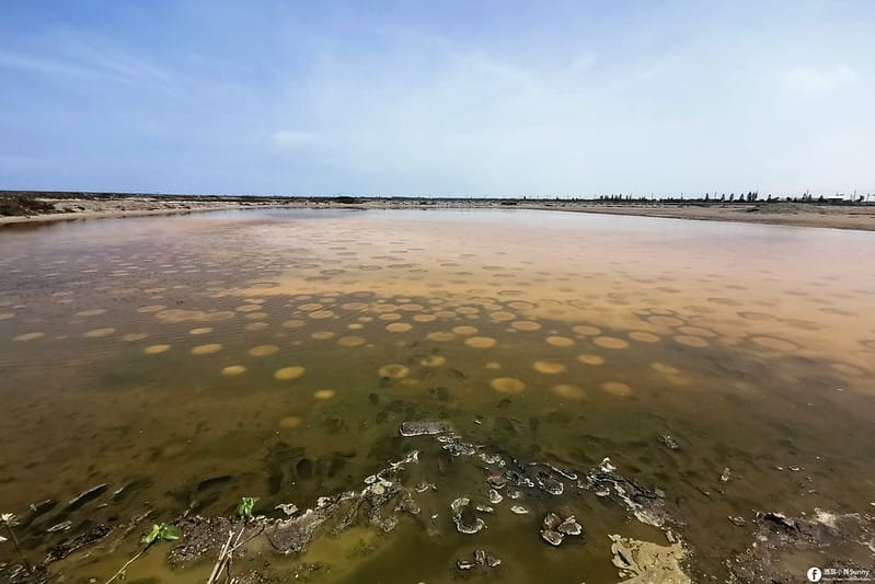 2021-台南奇景-七股鹽山-火星坑洞