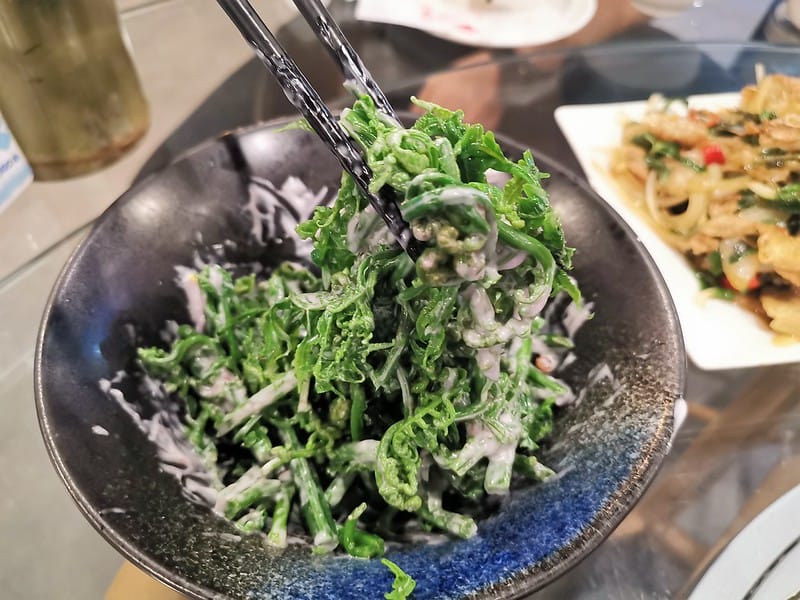 嘉義甕窯雞vs嘉義竹香園