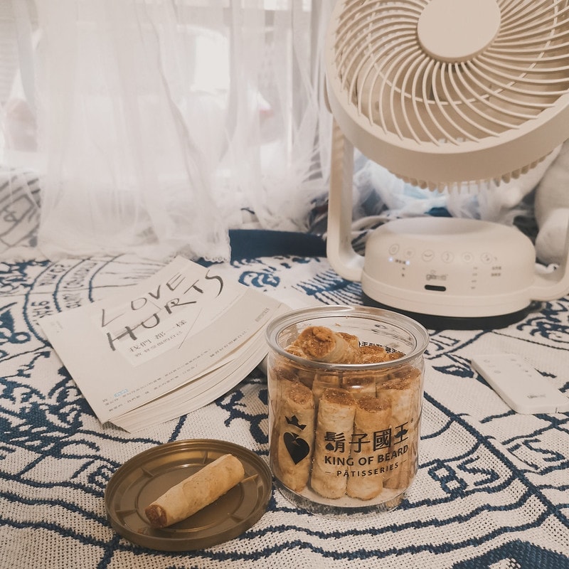 酒窩小姊の開箱日常Giaretti 10吋遙控DC復古循環扇(GT-VF10)