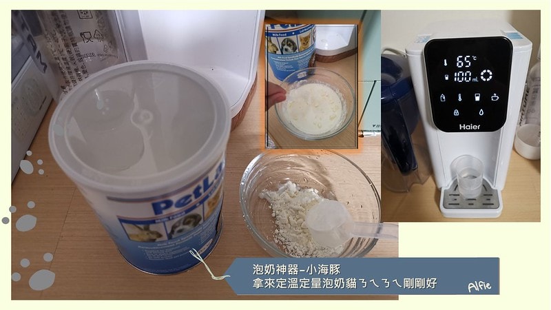 酒窩小姊Sunnyの貓奴日常|養貓新手之第一次養奶貓就上手,把屎把尿還要三小時餵一次奶(?) - 第8張圖 酒窩小姊sunny的貓奴日常x奶貓日常x養貓新手