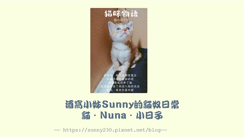 酒窩小姊Sunnyの貓奴日常|養貓新手之第一次養奶貓就上手,把屎把尿還要三小時餵一次奶(?) - 第1張圖 酒窩小姊sunny的貓奴日常x奶貓日常x養貓新手