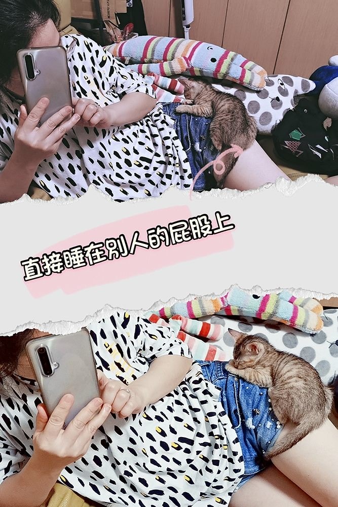 酒窩小姊Sunnyの貓奴日常|養貓新手之第一次養奶貓就上手,把屎把尿還要三小時餵一次奶(?) - 第29張圖 貓奴日記