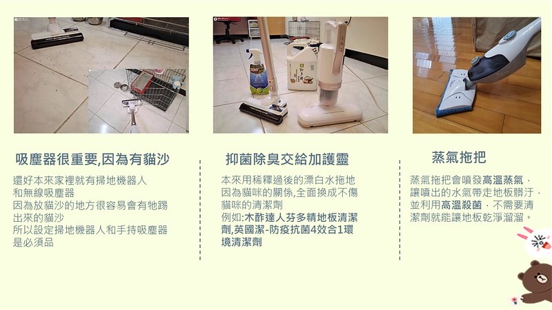 酒窩小姊Sunnyの貓奴日常|養貓新手之第一次養奶貓就上手,把屎把尿還要三小時餵一次奶(?) - 第25張圖 貓奴日記