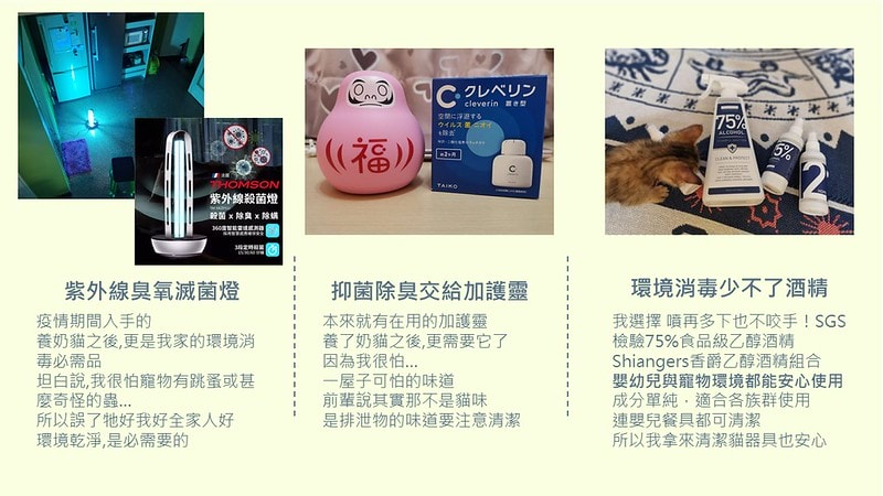 酒窩小姊Sunnyの貓奴日常|養貓新手之第一次養奶貓就上手,把屎把尿還要三小時餵一次奶(?) - 第24張圖 貓奴日記