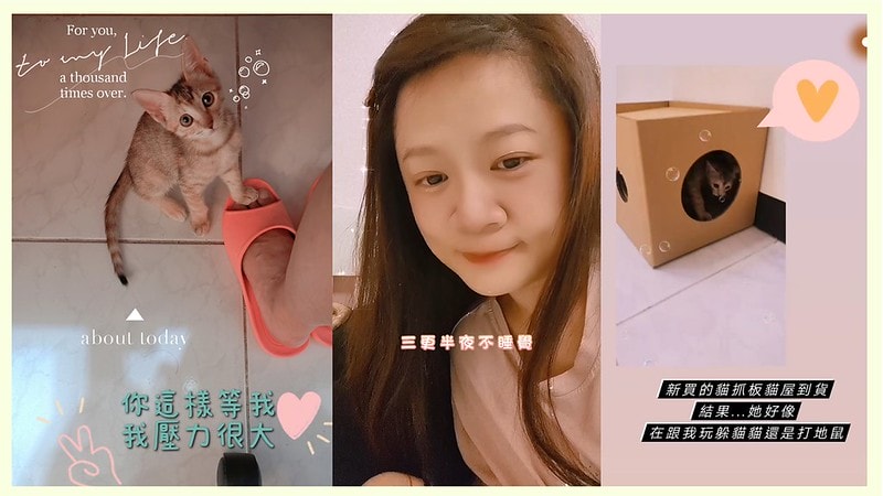 酒窩小姊Sunnyの貓奴日常|養貓新手之第一次養奶貓就上手,把屎把尿還要三小時餵一次奶(?) - 第18張圖 酒窩小姊sunny的貓奴日常x奶貓日常x養貓新手