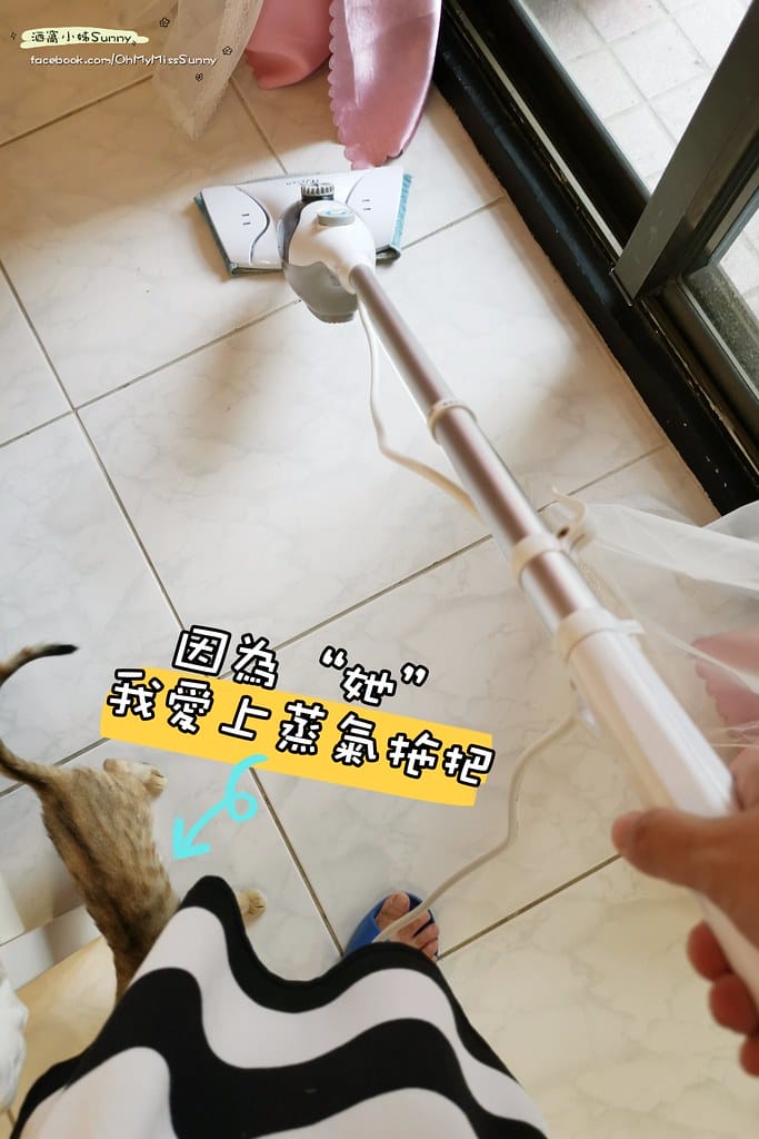 【Euleven有樂紛】多功能蒸氣拖把