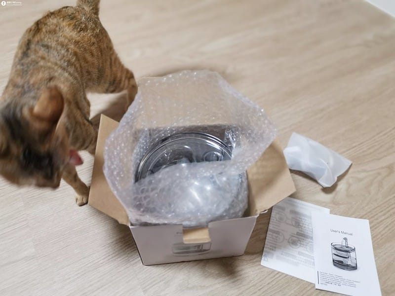 開箱日常｜寵物飲水機