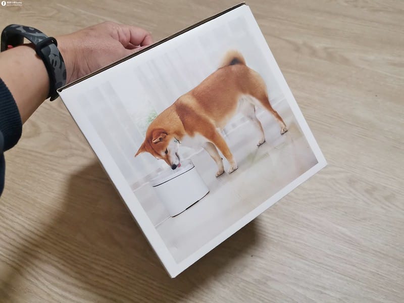 開箱日常｜寵物飲水機