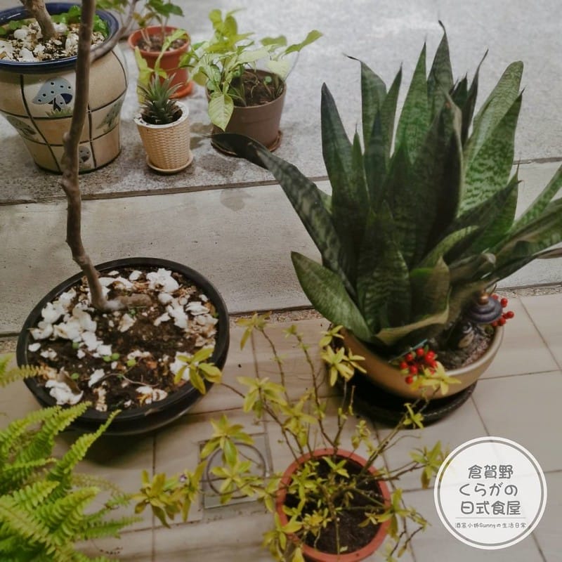 太保美食|倉賀野くらがの 日式食屋(外帶/外送/便當)