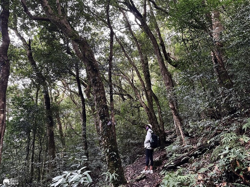 2021-11-27 13.55.23(1638282936.484428)