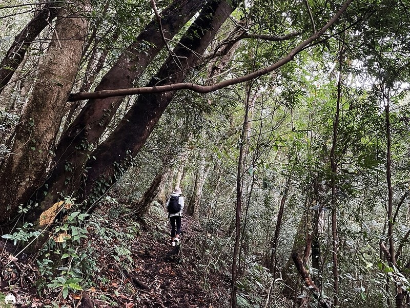 2021-11-27 13.53.18(1638282935.800759)