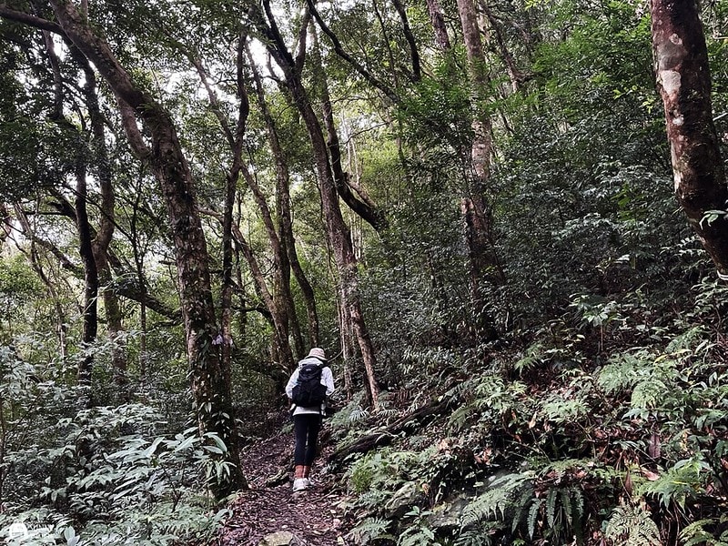 2021-11-27 13.55.09(1638282936.141806)