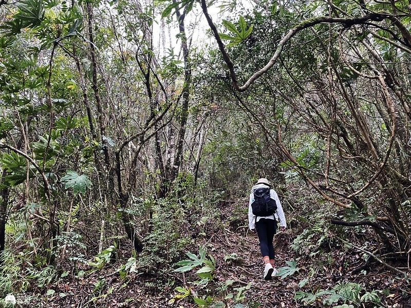 2021-11-27 14.26.34(1638282939.499875)