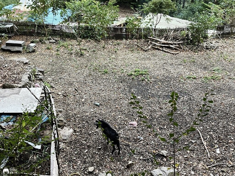 2021-11-27 15.41.42(1638282956.254155)